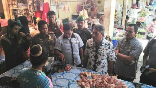 sidak ayam.jpg image